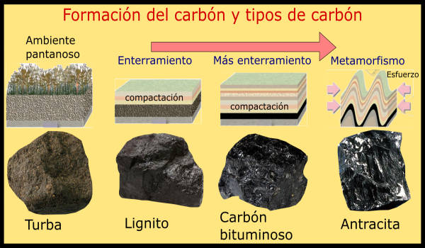 Tipos de carbón