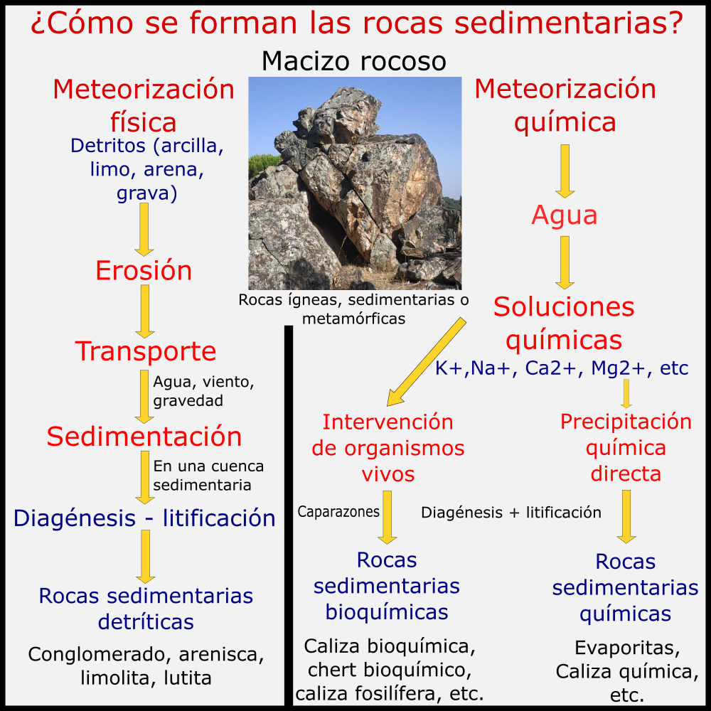 ¿Cómo se forman las rocas sedimentarias?