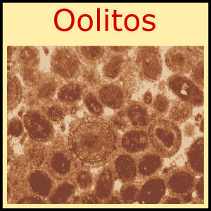 oolitos ooides