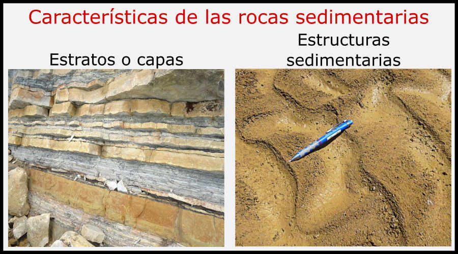 Rocas sedimentarias características