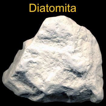 Diatomita y tierra de diatomeas: Propiedades y usos