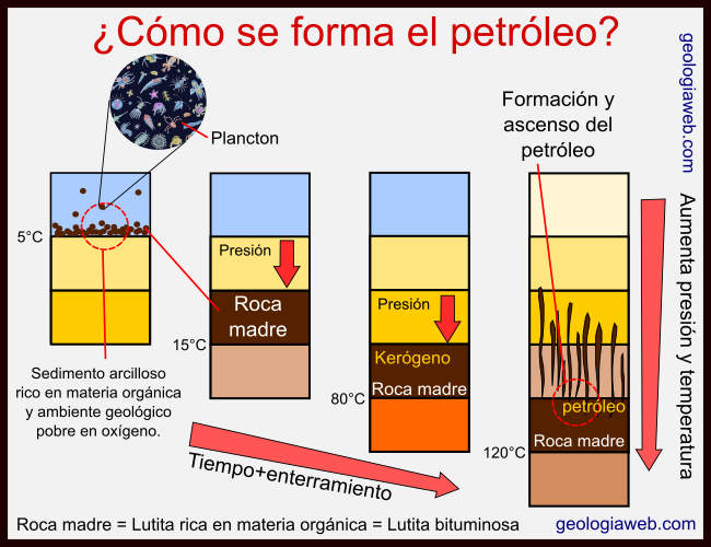 Cómo se forma el petróleo y el gas