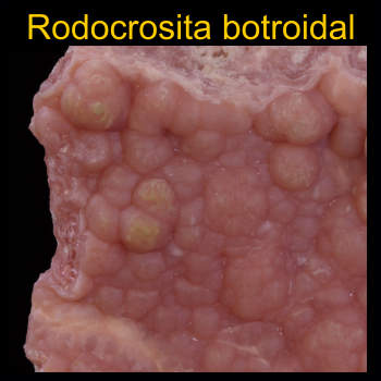 Rodocrosita botroidal, piedra, mineral