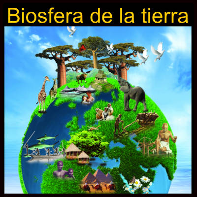 Biosfera de la tierra