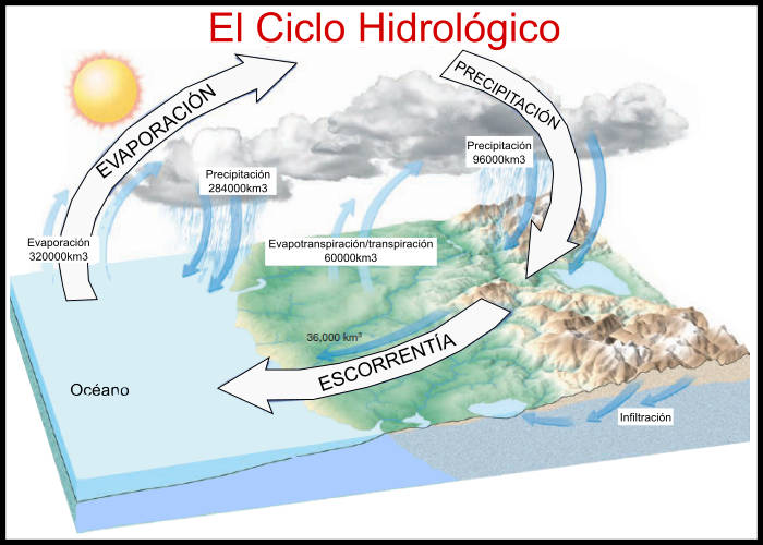 El ciclo hidrológico