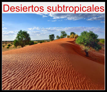 desierto subtropical