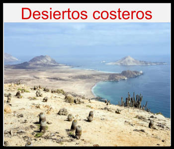 desiertos costeros