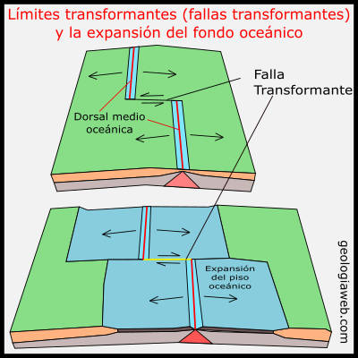 Limites transformantes modelo