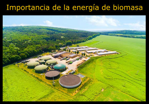 La importancia de la energía de biomasa