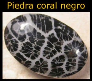 piedra coral negra
