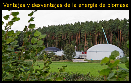 10 Ventajas y desventajas de la energía de biomasa