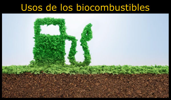 10 Usos de los biocombustibles