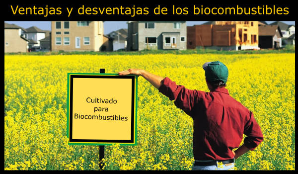 10 Ventajas y desventajas de los biocombustibles