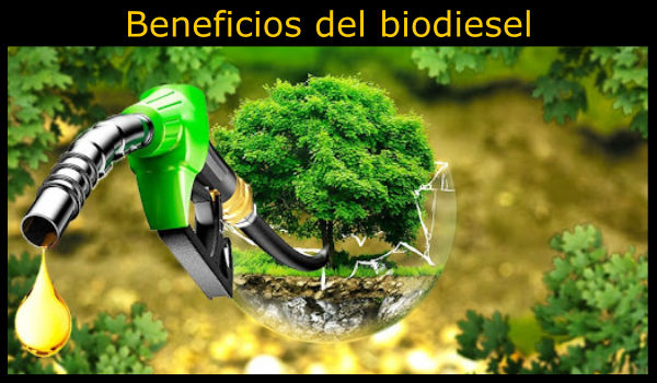 10 Beneficios del biodiesel