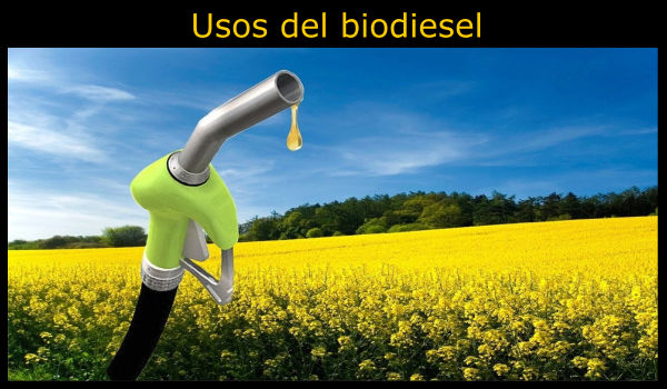 10 Usos del biodiesel