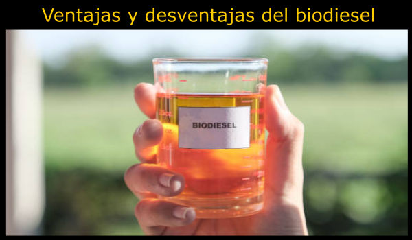 10 Ventajas y desventajas del biodiesel