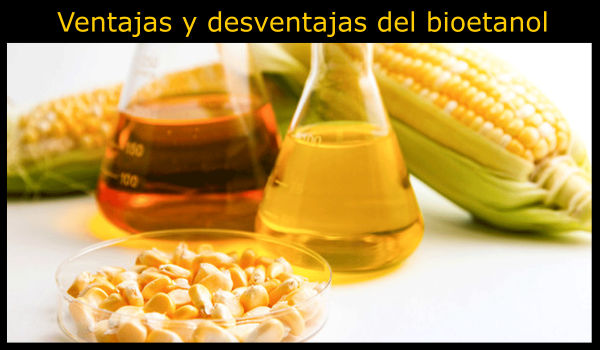 10 Ventajas y desventajas del bioetanol