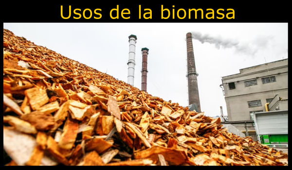 10 Usos de la biomasa