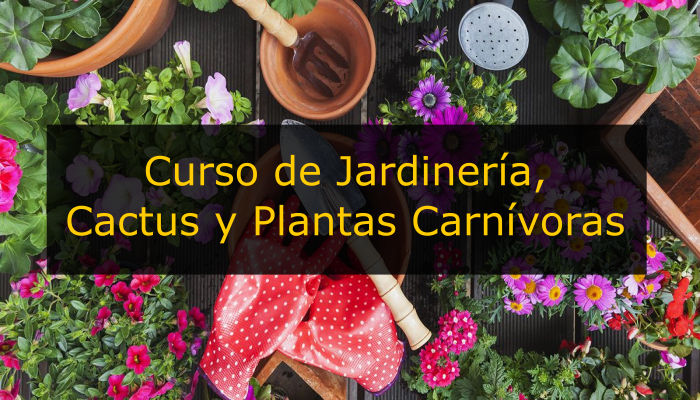 Curso Online de Jardinería, cactus y plantas carnívoras