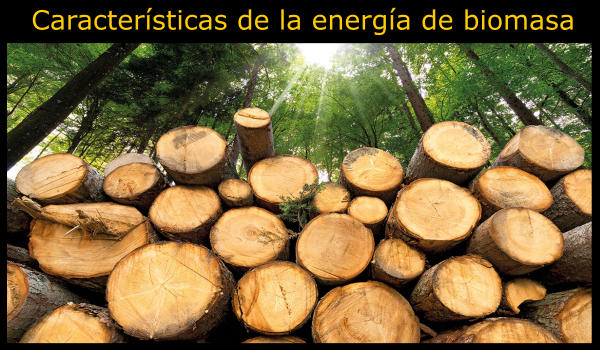 10 Características de la energía de biomasa