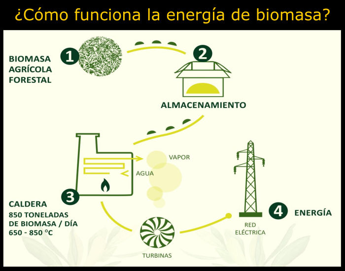 ¿Cómo funciona la energía de biomasa?