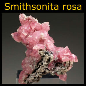 smithsonita rosa