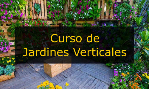 Curso de jardines verticales online