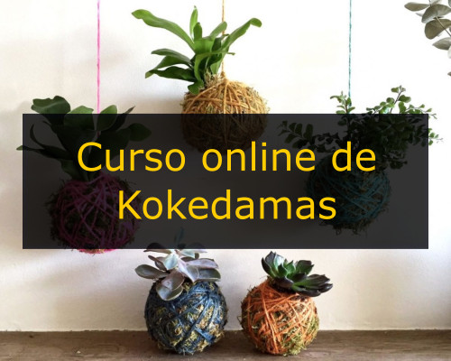 Curso de kokedamas online