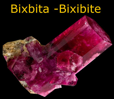 bisxbita bixbite