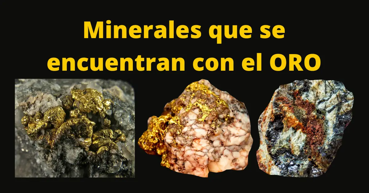 ¿Qué Piedras y Minerales se encuentran con el Oro?